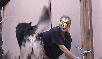 与动物发生性关系,与狗一起做爱