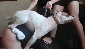 phim khiêu dâm với chó,video khiêu dâm sở thú