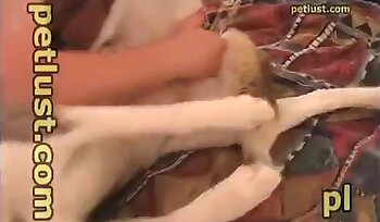 sexe avec un animal,porno avec chien