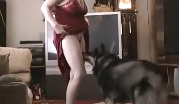 sex with animal,porn with dog