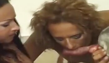 porno con perro,animal folla a chica