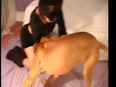 animalporn