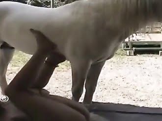 zooporn