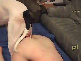 anal animal sex