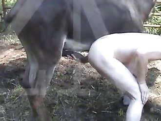 dude fucks with animal