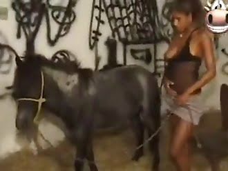 horse porn