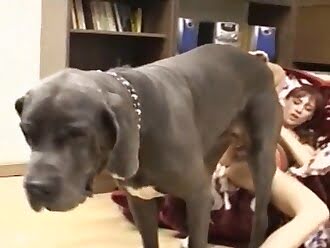 sucks dog dick