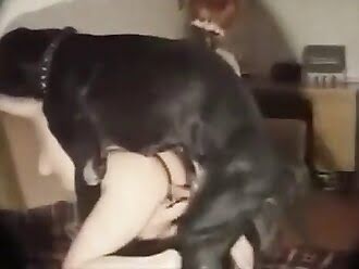 dogsex