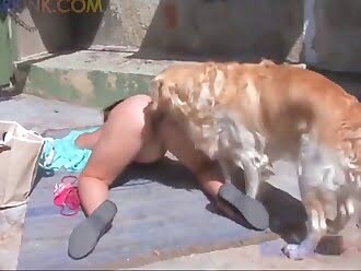 dog fucks
