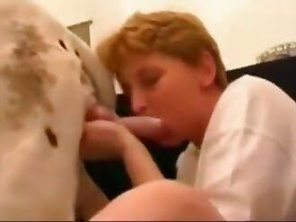 animal human porn