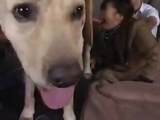 dogsex
