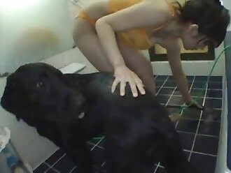 dogsex