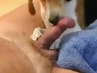 beastiality facials