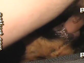 dogsex