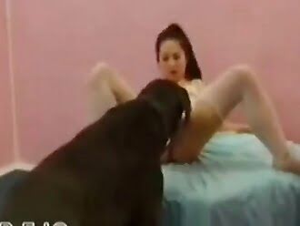 animal sex woman