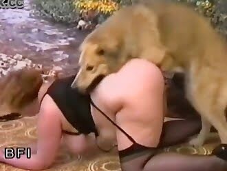 dog fucks