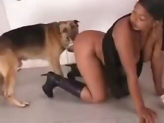 animal fuck