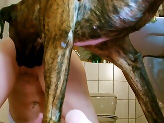 dogsex