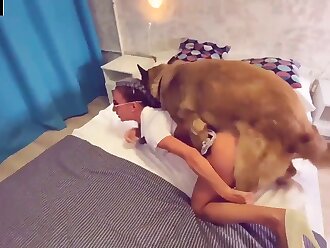 dog sex videos