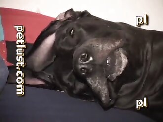 bestiality porn movies