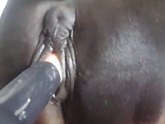 horse porn