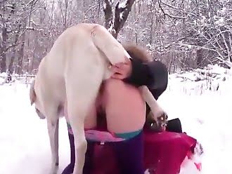 animal sex woman