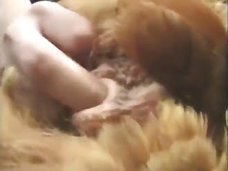 zooporn