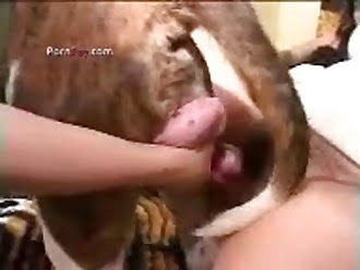 licks girls pussy