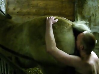 hardcore animal sex