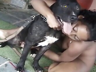 xxx dog sex