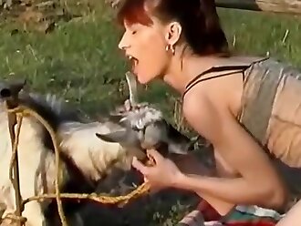sex zoo