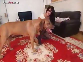 xxx dog