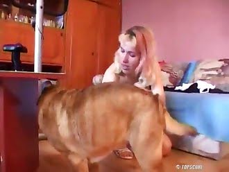 dog sex videos