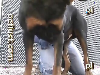 animal human porn