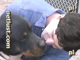 animal human porn