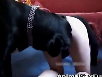 animalsex