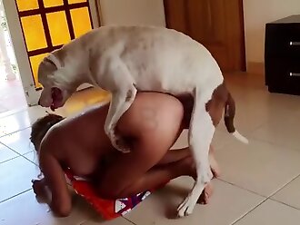 zoo porn