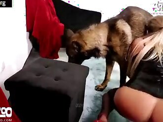 passionate zoophilia