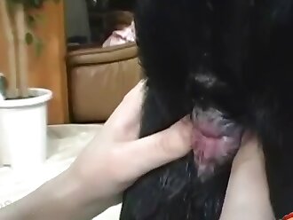 zoo porn