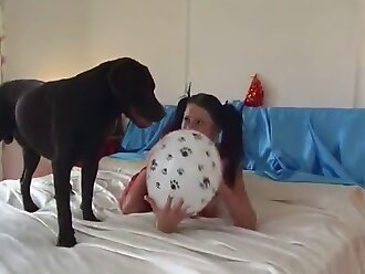 xxx dog sex