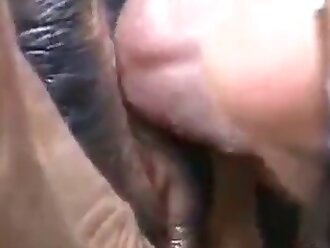 passionate zoophilia