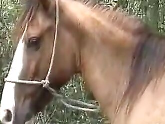 passionate zoophilia