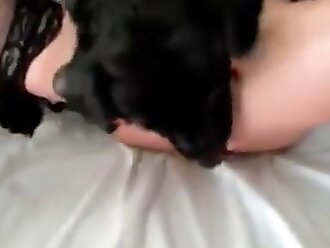 doggy style fuck