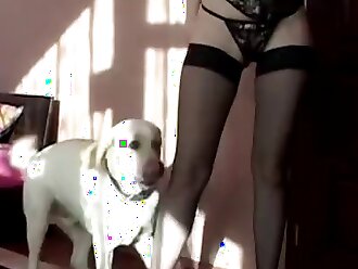 zooporn