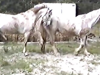 passionate zoophilia