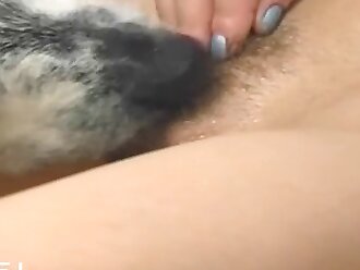 zoo porn