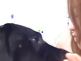 sex animals