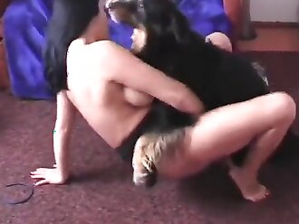 animalsex