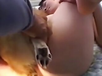 free horse sex