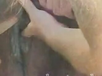 animalsex